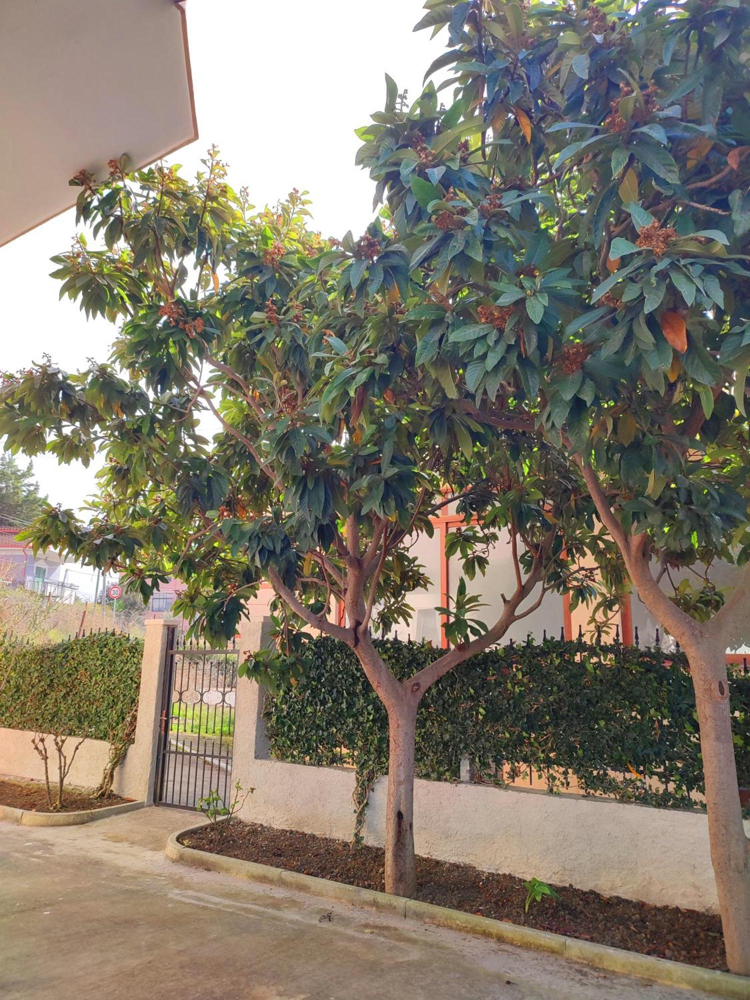 Bp Beach Apartments Golem  Esterno foto